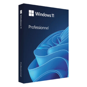 Microsoft Windows 11 Pro 64 bits Français (Licence originale + DVD)