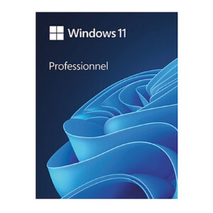 Windows 11 Pro - Licence perpétuelle