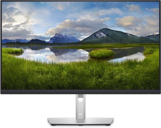 DELL 27 Monitor - P2722H - 68.6cm (27")