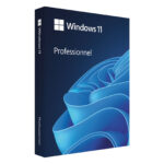 Microsoft Windows 11 Pro 64 bits Français (Licence originale + DVD) - FQC-10532