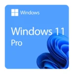 Microsoft Windows 11 Professionnel Licence